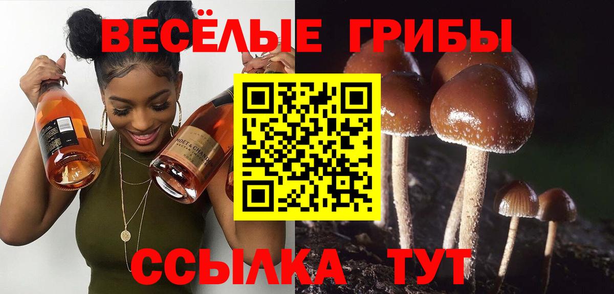 Псилоцибиновые грибы мицелий Солнечногорск