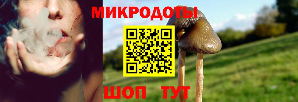 сколько стоит  Вход с VPN  Солнечногорск  Галлюциногенные грибы Cubensis  Псилоцибиновые грибы Magic Shrooms 